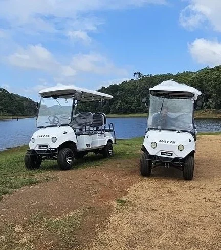 Electric Vehicles